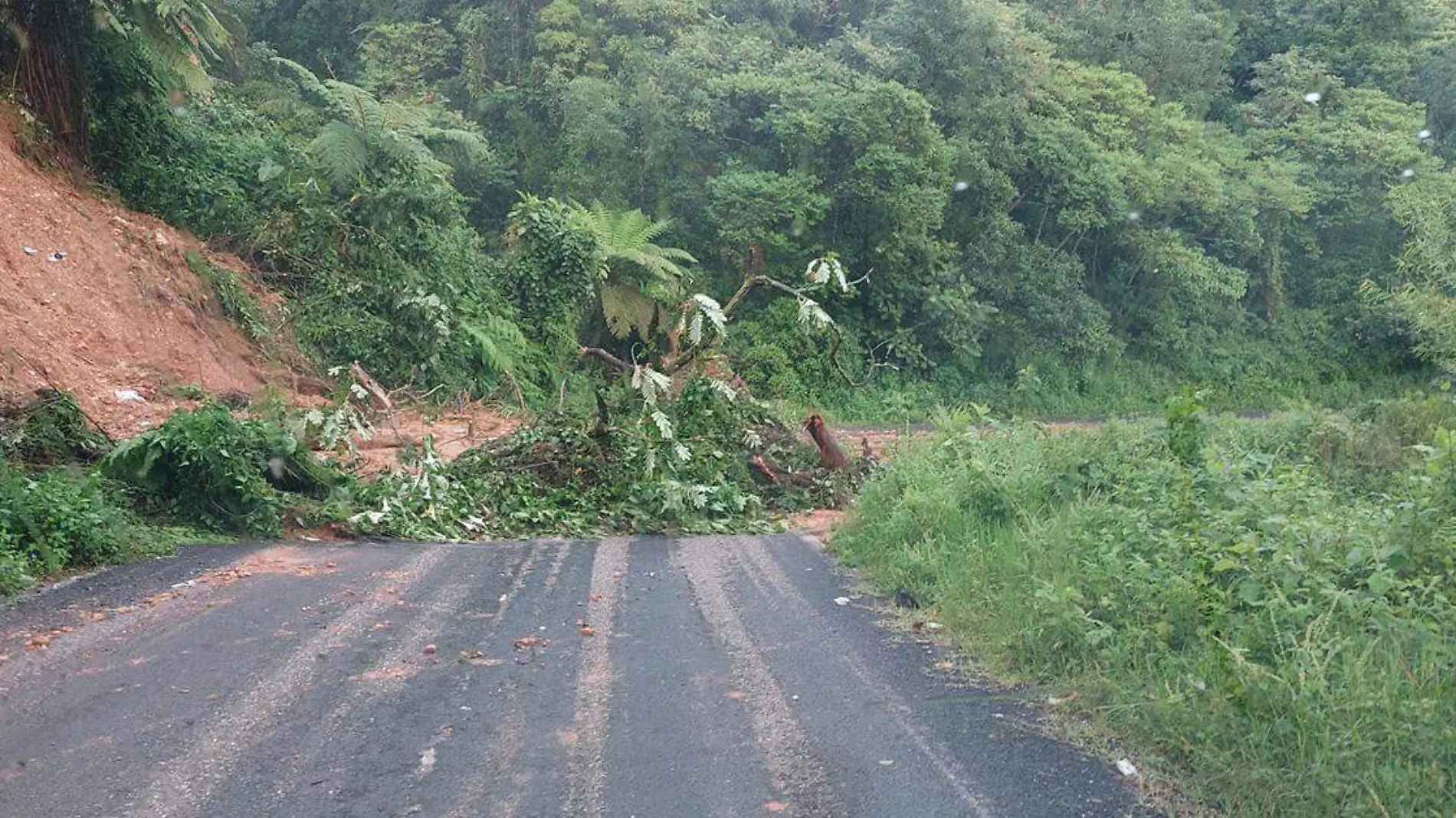 Habitantes de comunidades de Eloxotitlán y de Tlacotepec, piden ayuda a las autoridades estatales